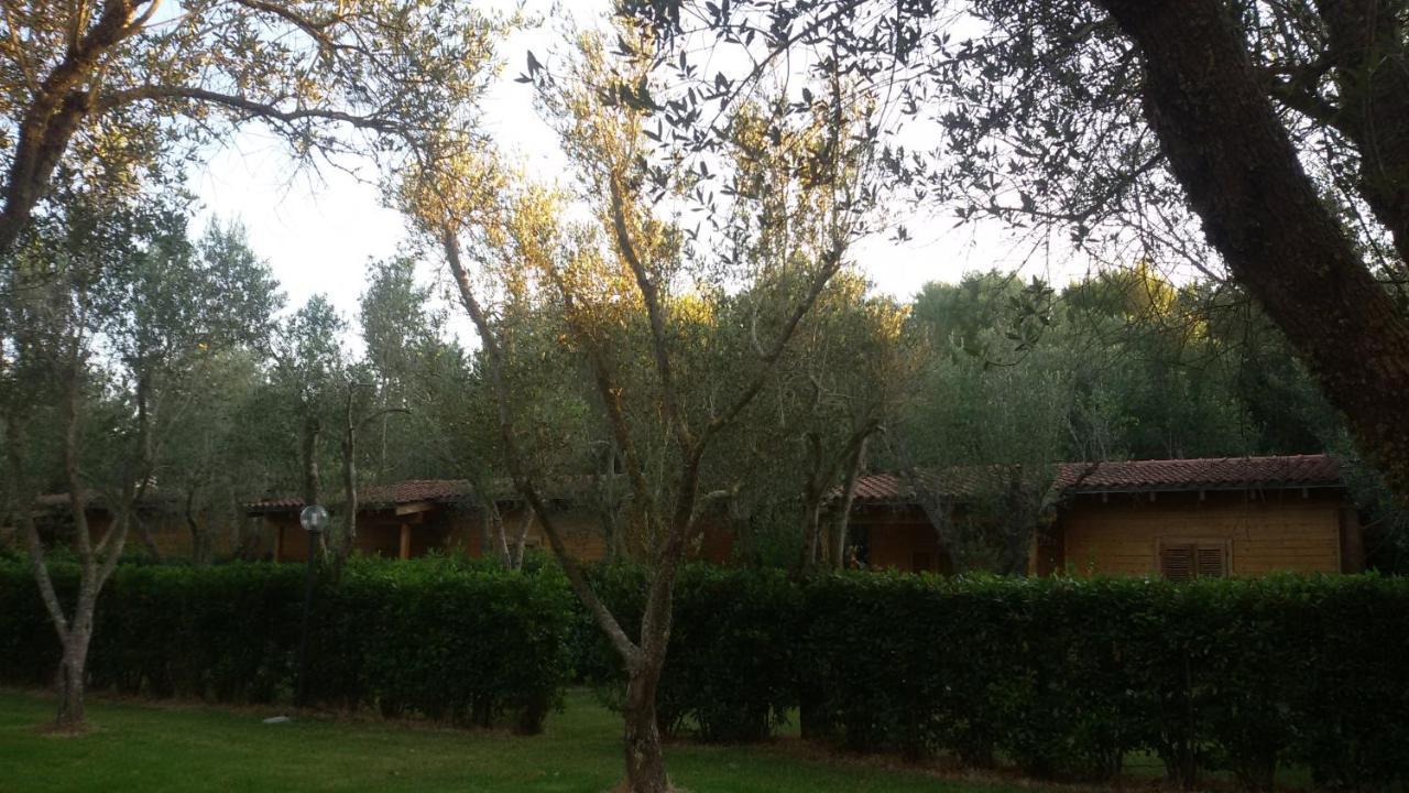 Agriturismo Lu Podere Alimini Esterno foto