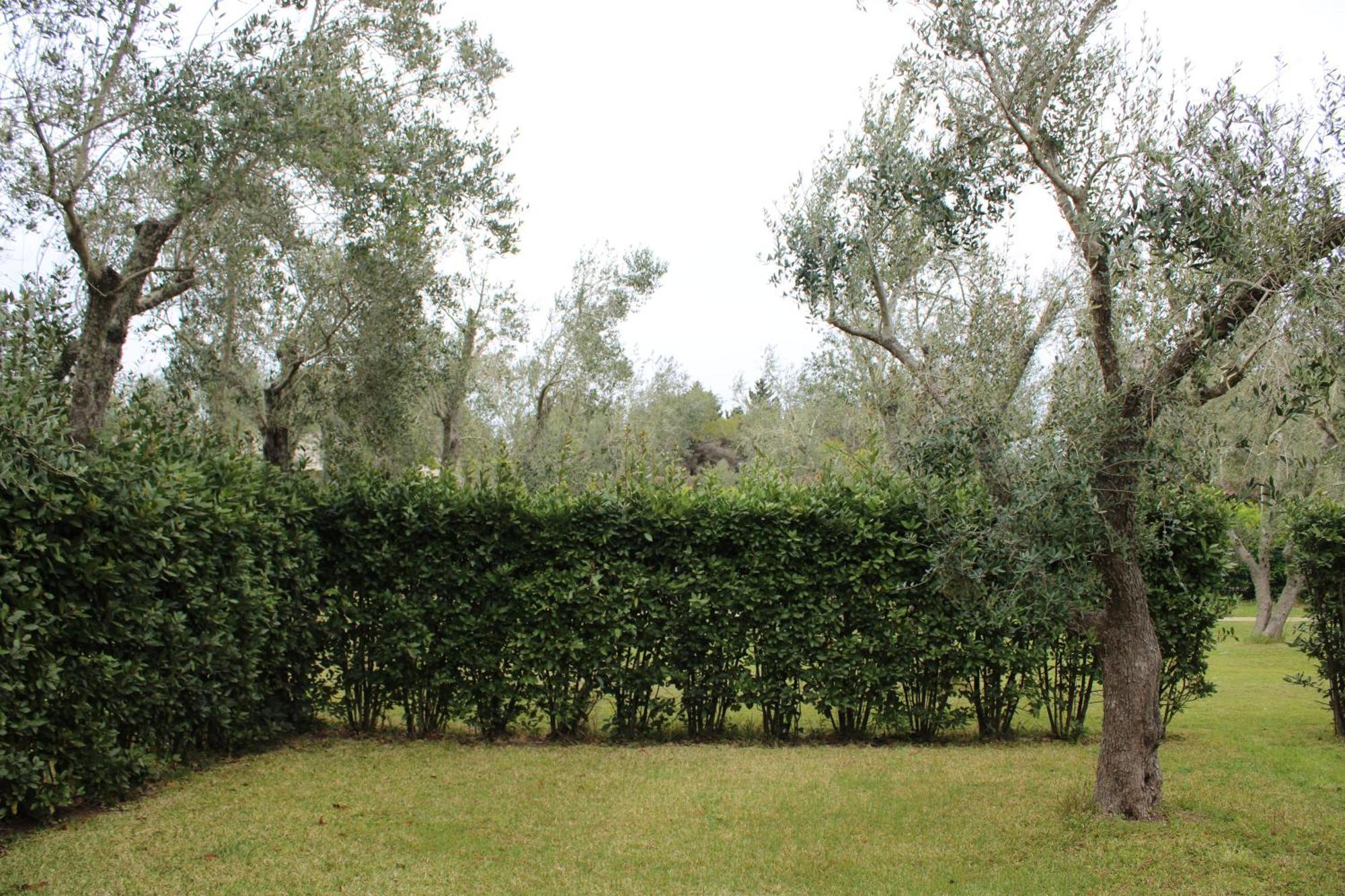 Agriturismo Lu Podere Alimini Esterno foto